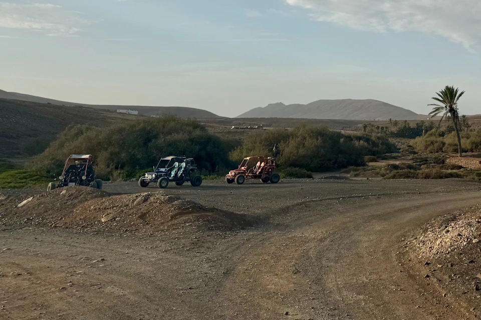 Buggy tour