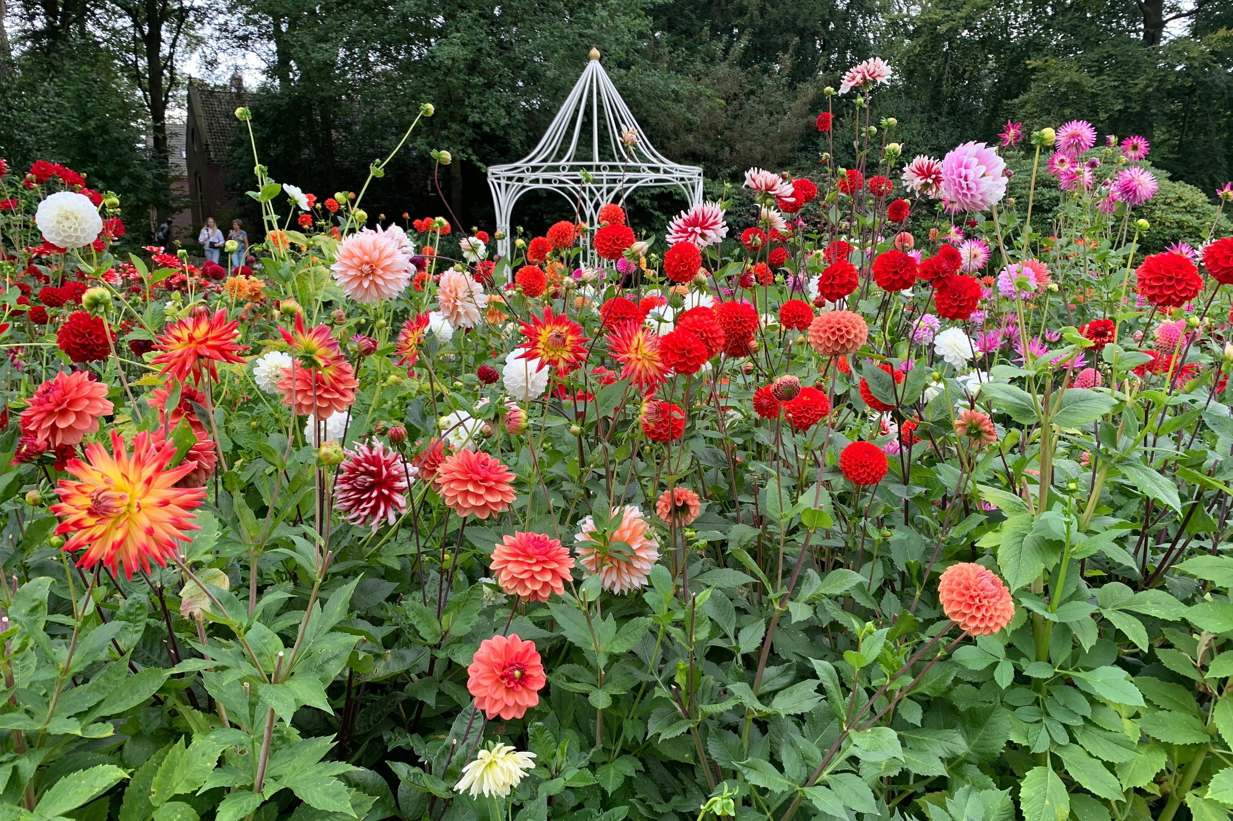 Úžasná rozmanitost