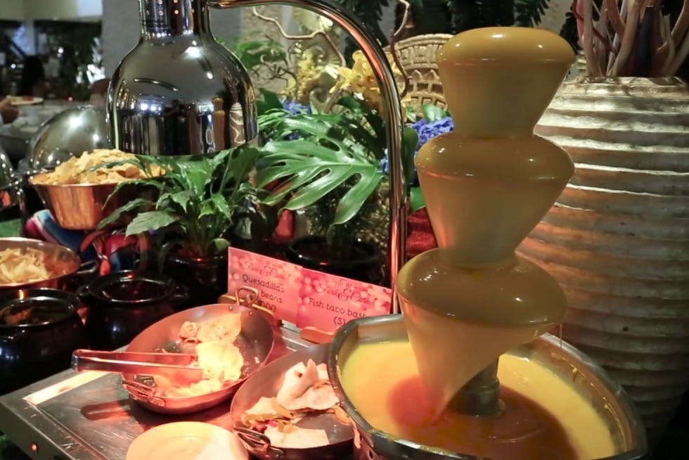 야자수 아난타라 키우기