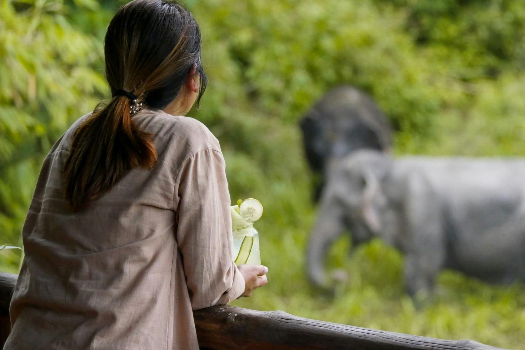 숲이 우거진 초록색 지역에서 코끼리를 보며 새겨진 꽃을 들고 있는 포니테일과 베이지색 셔츠를 입은 여성.