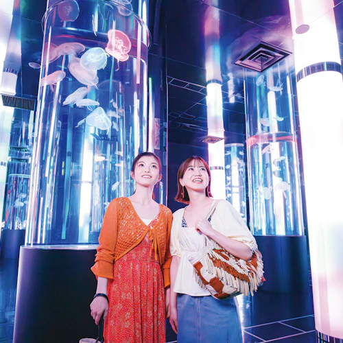 DMM Kariyushi Aquarium Okinawa: Entry Ticket After 5 PM (Off-Peak Hours)