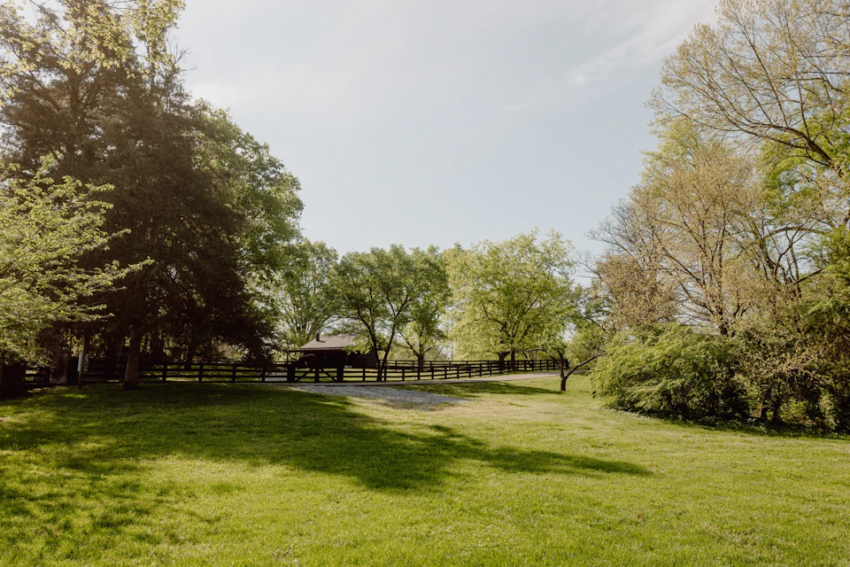 Belle Mead