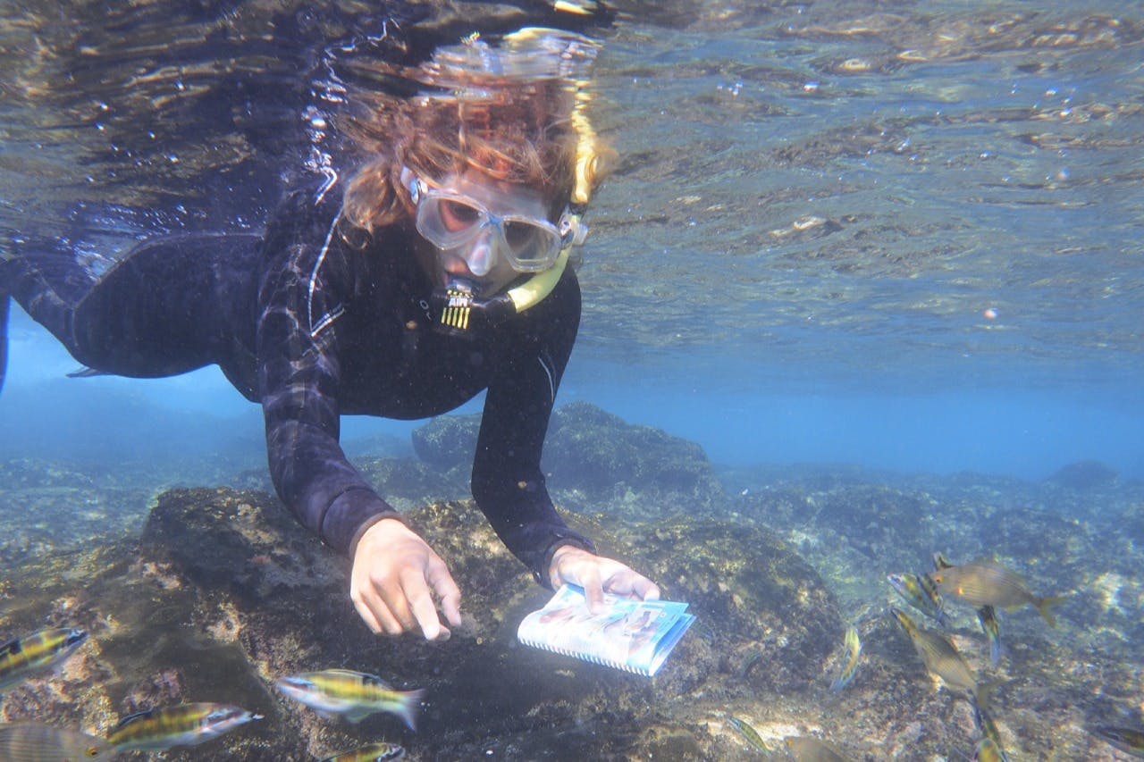 Playa Blanca: Esperienza guidata di snorkeling + trasferimenti — 3