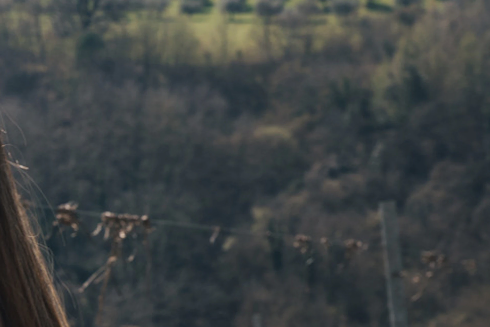 Tuscany Experience