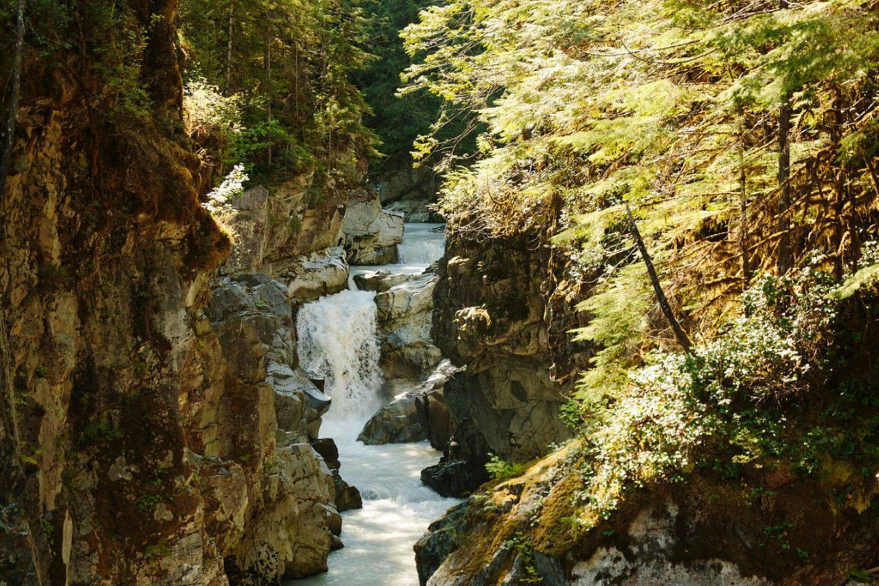 Squamish Canyon: Entry Ticket 5