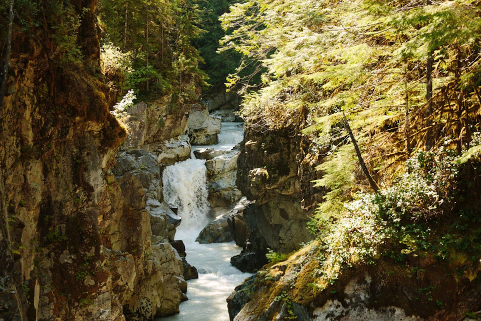 A small waterfall flowing through a rocky gorge surrounded by lush green trees under sunlight.