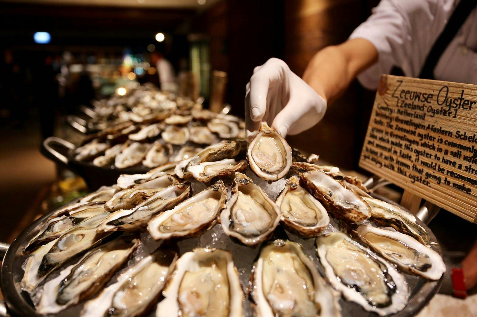 A gloved hand holding a fresh oyster over a display of numerous opened oysters on ice in a seafood presentation.