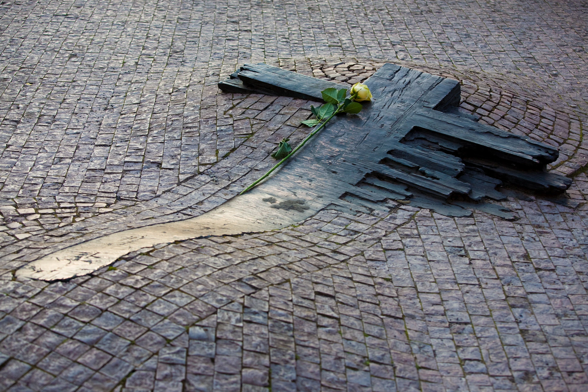 A yellow rose on a cross-shaped stone monument embedded in a cobblestone pathway.