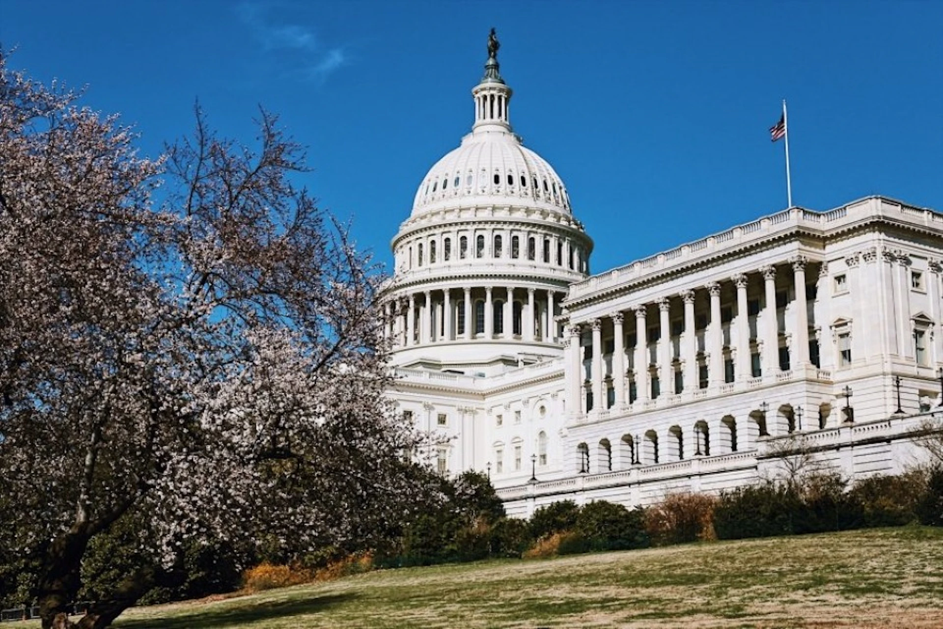 Small Group Guided Walking Tour of Capitol Hill