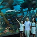 S.E.A. Aquarium VIP-Erlebnis