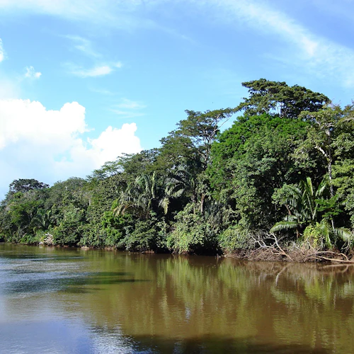 Palo Verde National Park: Jungle River Cruise - Photo 3