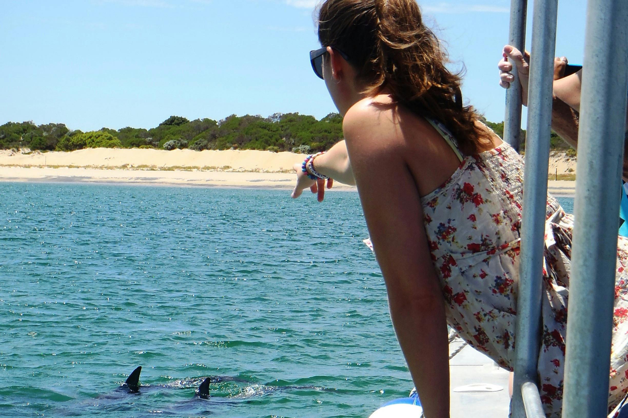 Approchez les dauphins sans vous mouiller. Avec votre billet d'entrée, vous contribuez également à la protection de l'environnement !