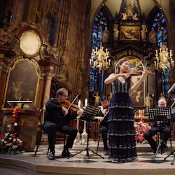 St. Stephen's Cathedral Vienna: Concert Ticket