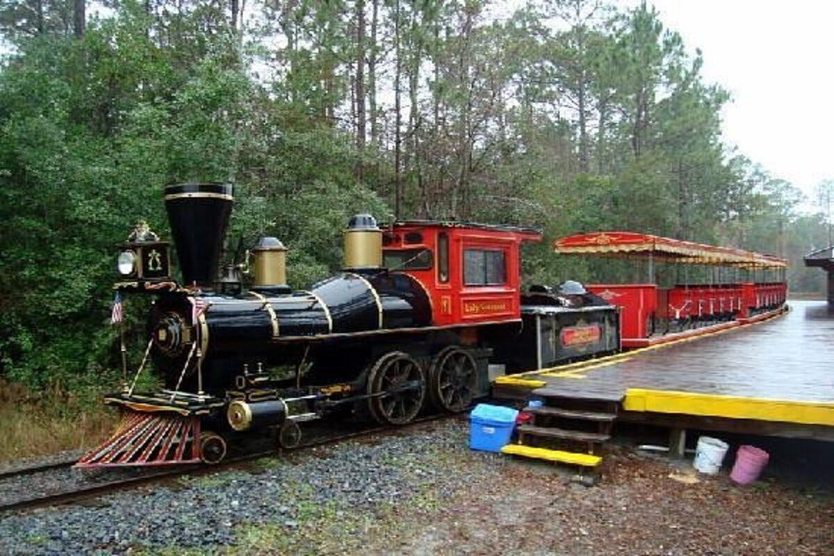 Rødt og sort vintage damptog på en perron, omgivet af træer og grønne områder.