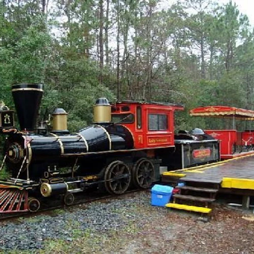 Parque do pântano de Okefenokee: bilhete de entrada + tour guiado - Photo 4