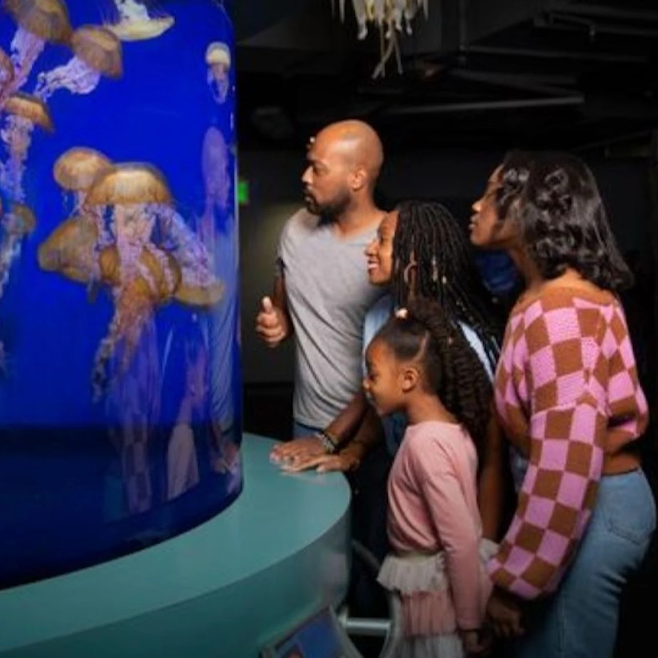 Aquarium of the Pacific: Skip The Line Ticket in Los Angeles β Tiqets