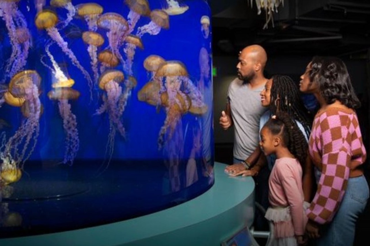 Aquarium of the Pacific: Sin colas - Alojamientos en Los Ángeles