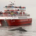 A red and white catamaran boat full of people watching a humpback whale rise from the sea. lots of birds are flying around.