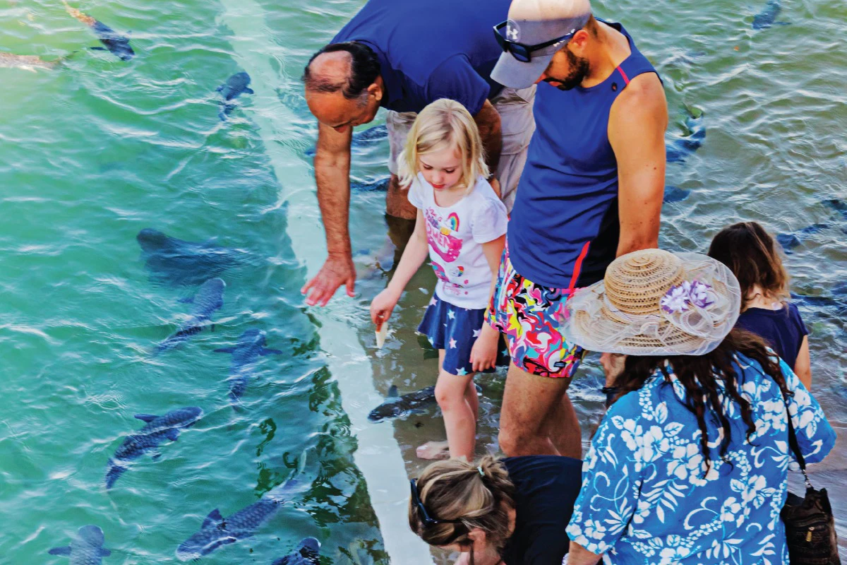 Darwin: Aquascene Fish Feeding Experience