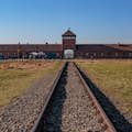 Музей Освенцима