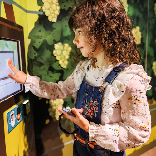 Museu dos Vinhos da Alsácia: Visita com audioguia + degustação - Photo 2