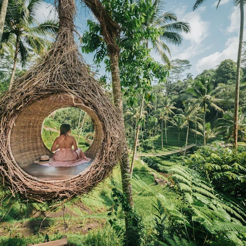 Alas Harum Bali: Entry Ticket