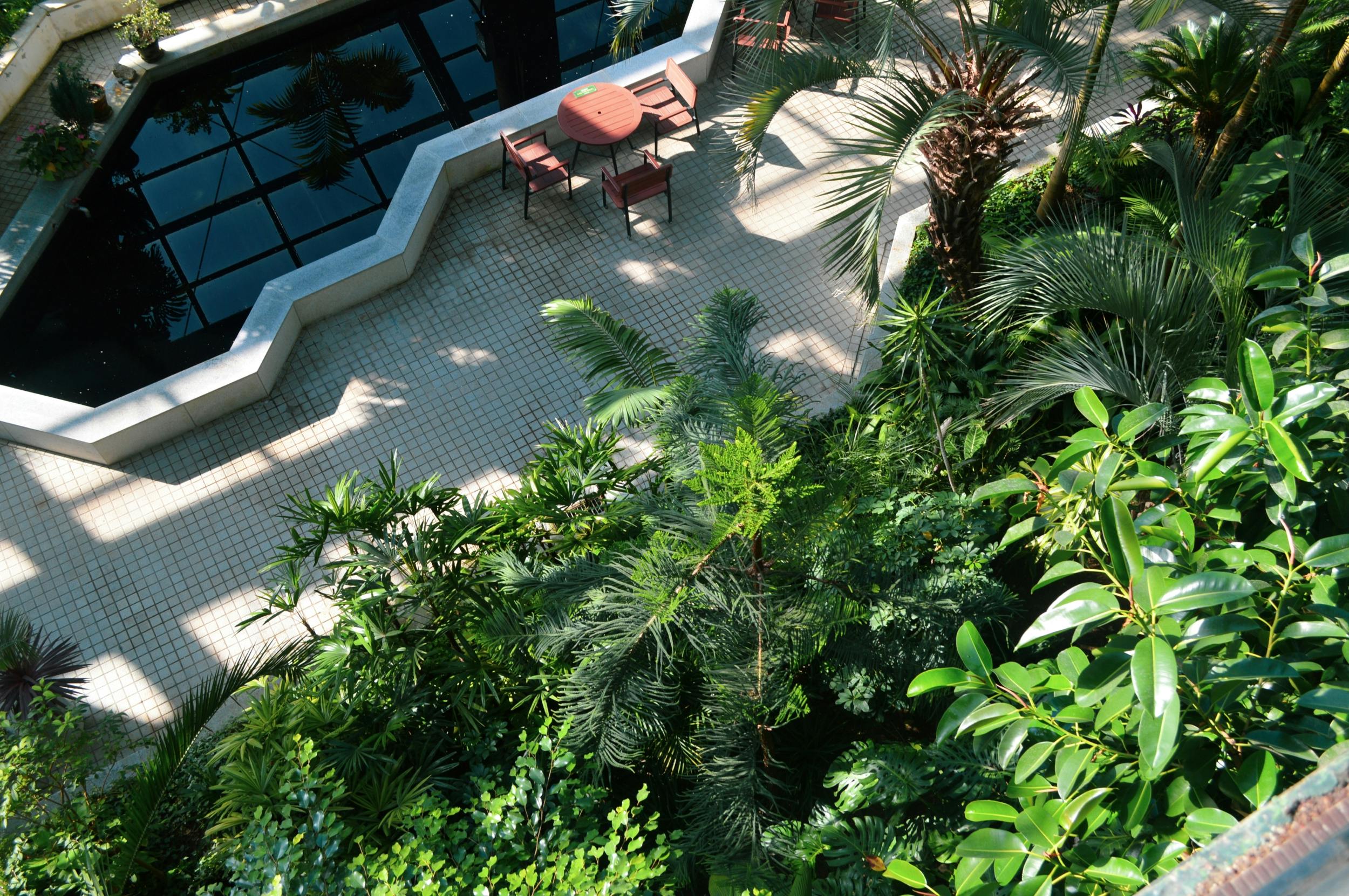 View of a courtyard with greenery, palm trees, a tiled floor, and a small table with chairs near a reflective building wall.