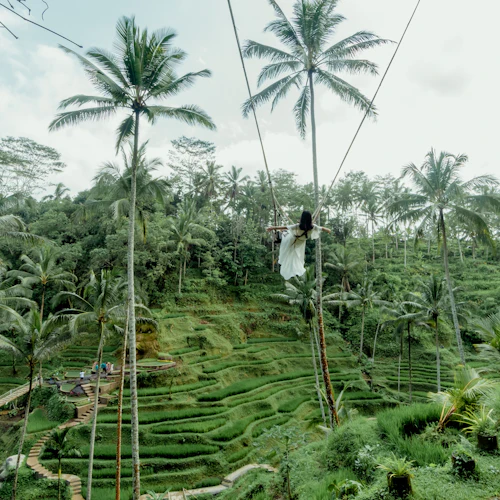 Alas Harum Bali: Ingresso de entrada - Photo 18