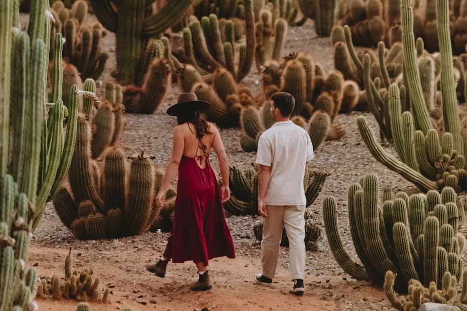 Cactus Country