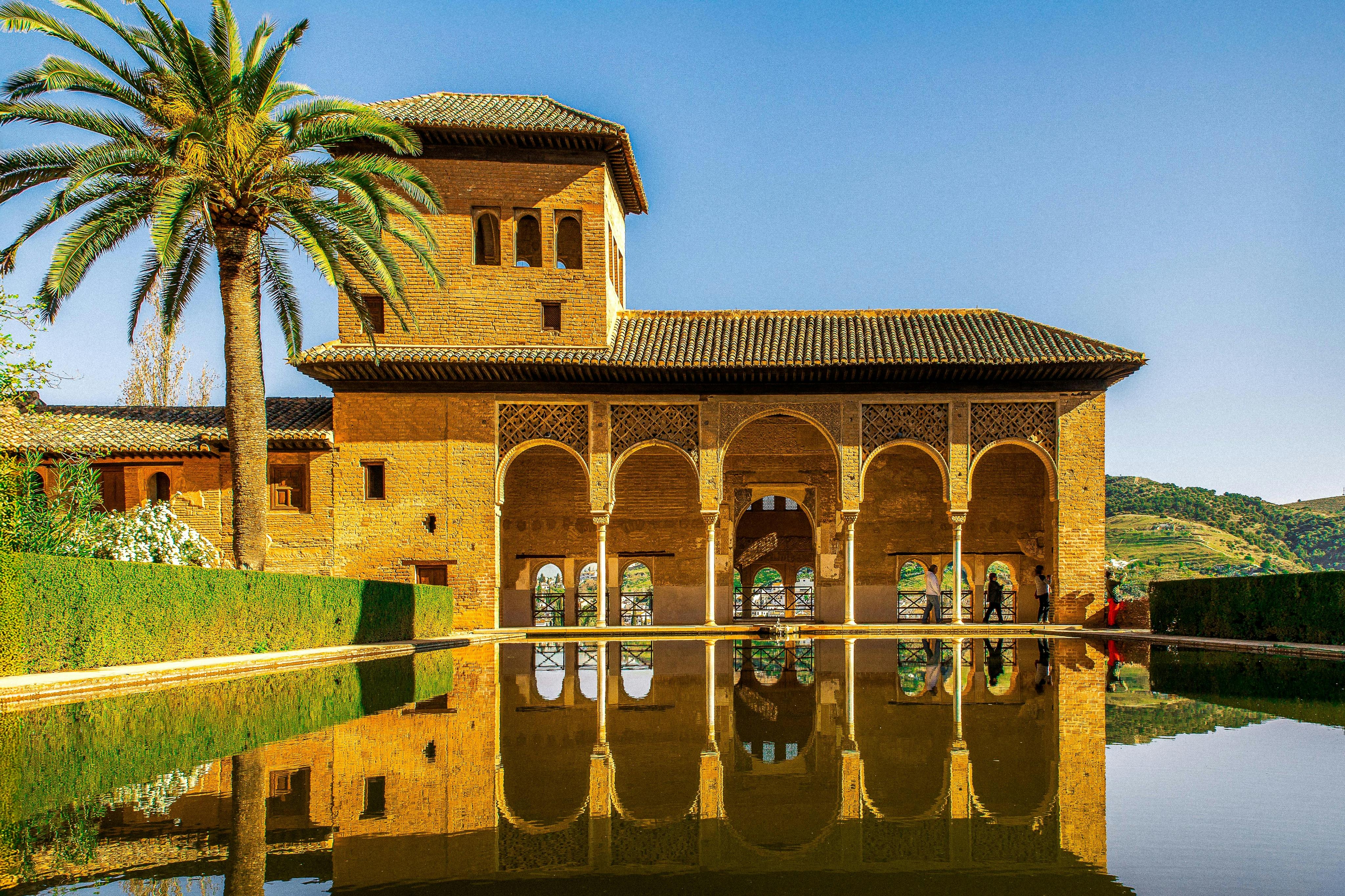 Alhambra e Palazzi nazarì: Tour guidato + Biglietto d'ingresso prioritario — 6