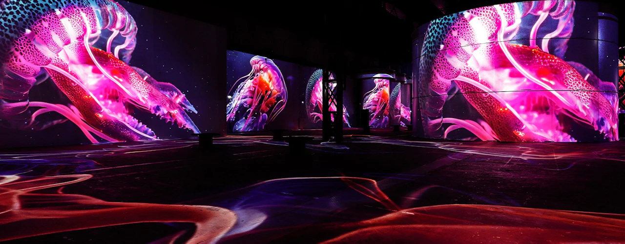 Phoenix des Lumières: Le meraviglie dell'oceano - Un'immersione coinvolgente