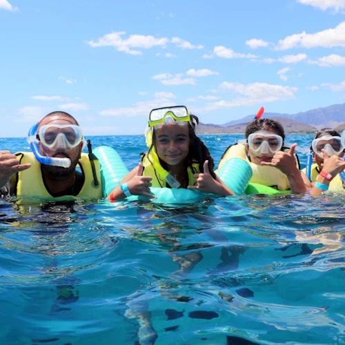 Oahu: Cruzeiro de barco para observação de golfinhos à tarde + mergulho com snorkel - Photo 6