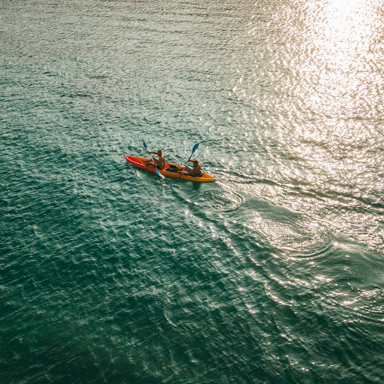 Slider Image