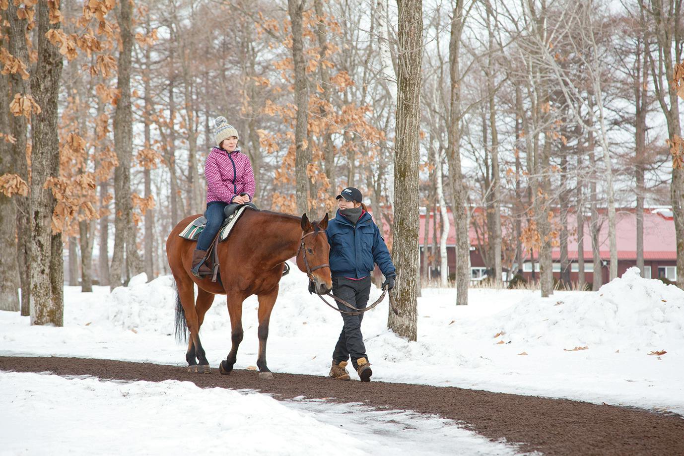 Northern Horse Park Tomakomai: Entry Ticket for Spring/Summer/Autumn - Photo 11