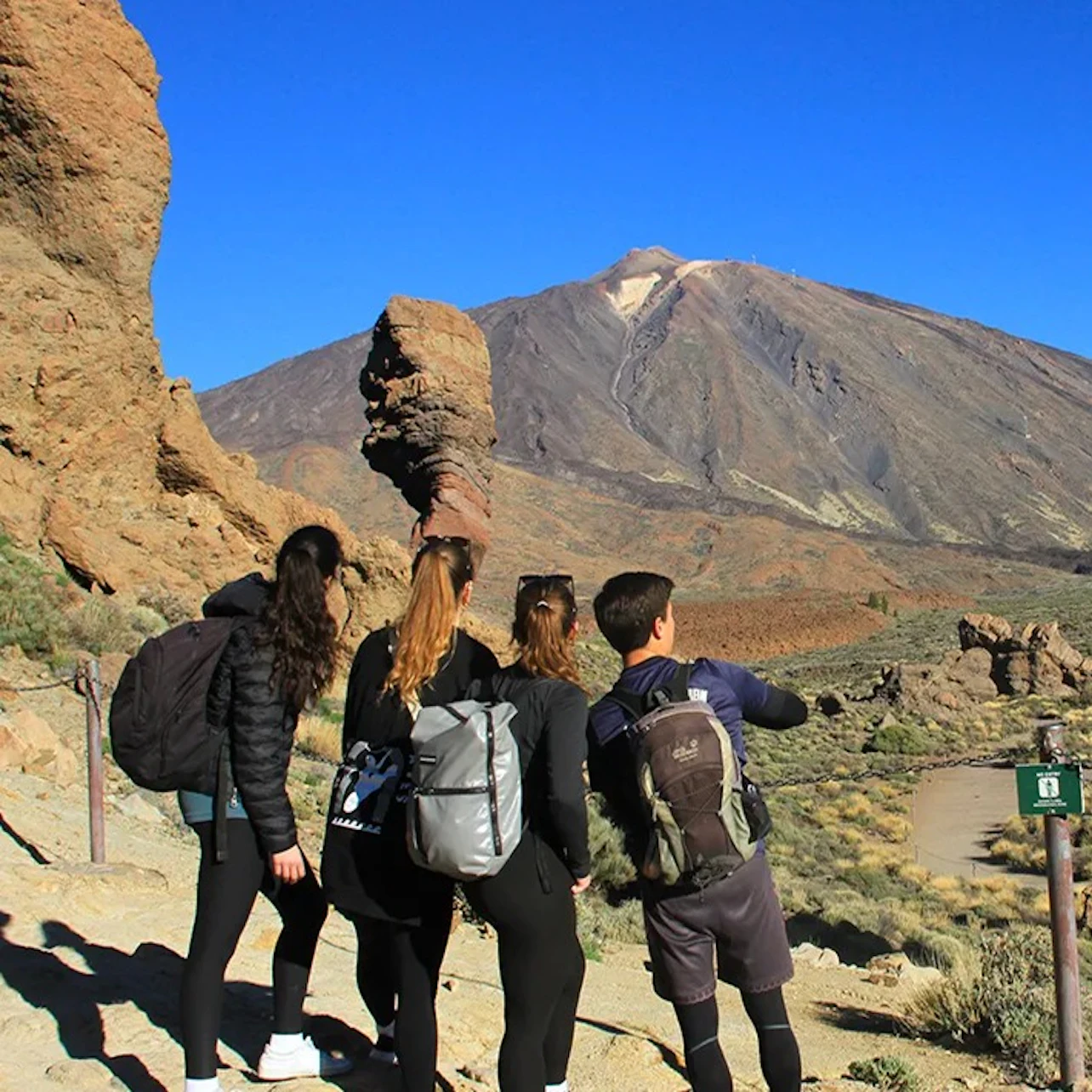 Tenerife: Half-Day Guided Tour to Teide National Park