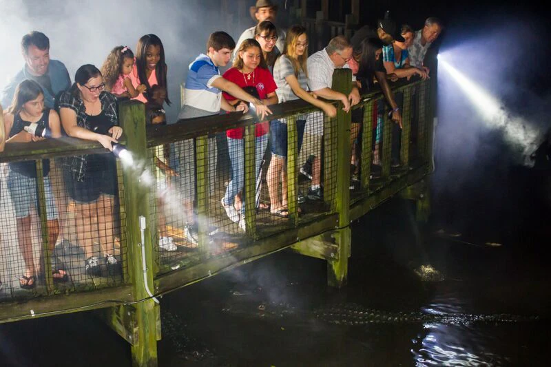 Gatorland Orlando: Gator Night Shine