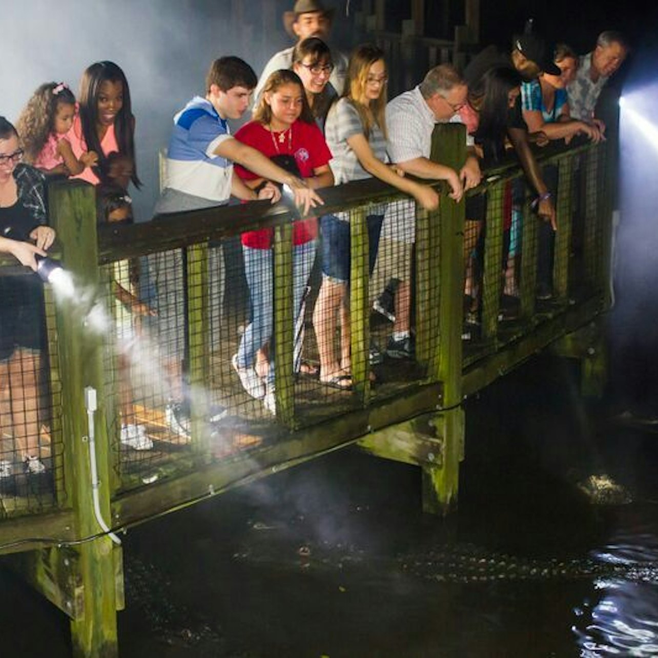 Gator Night Shine - Accommodations in Orlando