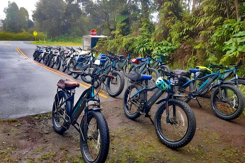 Multiple parked bicycles lined up on the side of a road, adjacent to a lush, green forest area with a stop sign in the background.