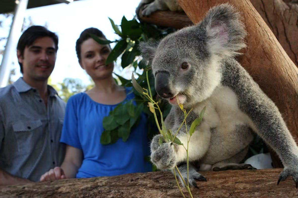 Зоопарк Таронга