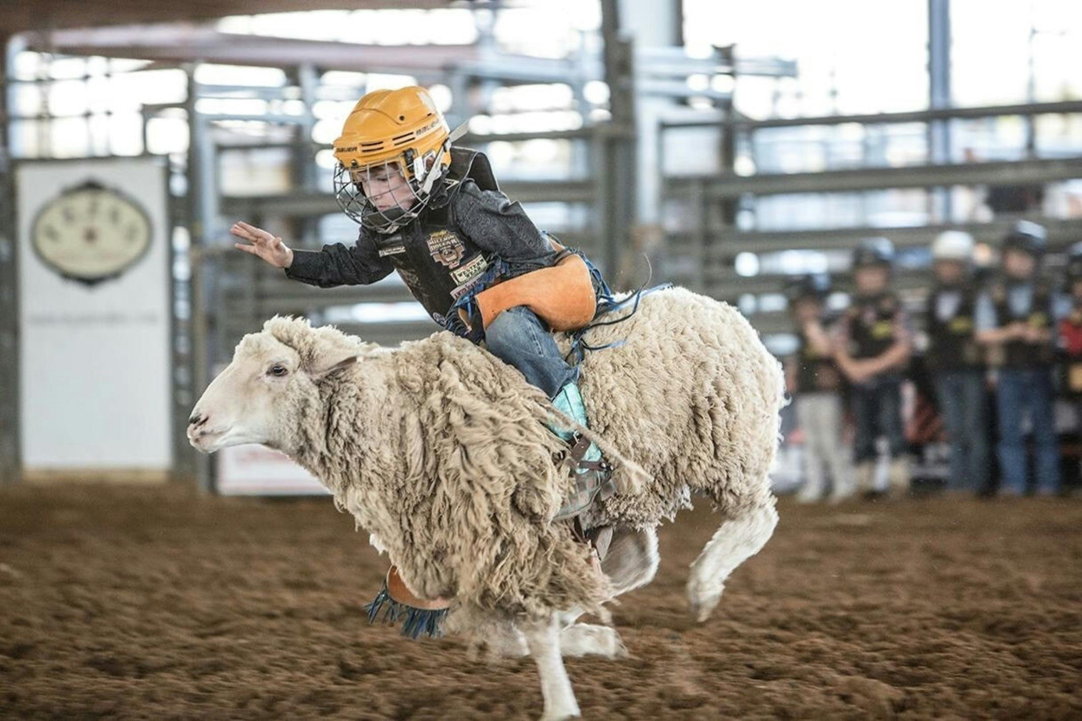 Mutton Bustin'