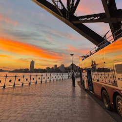 Big Bus Sydney: Guided Night Bus Tour 4