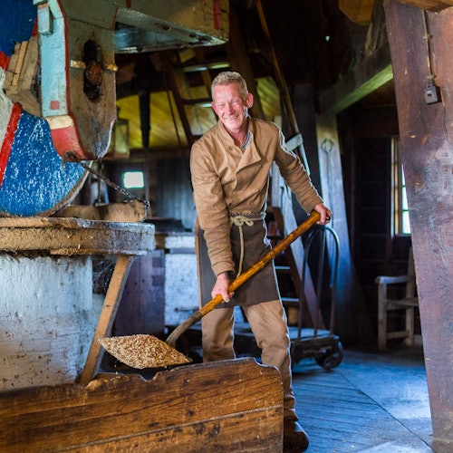 Zaanse Schans, Volendam & Marken: Guided Tour + Audio Guide