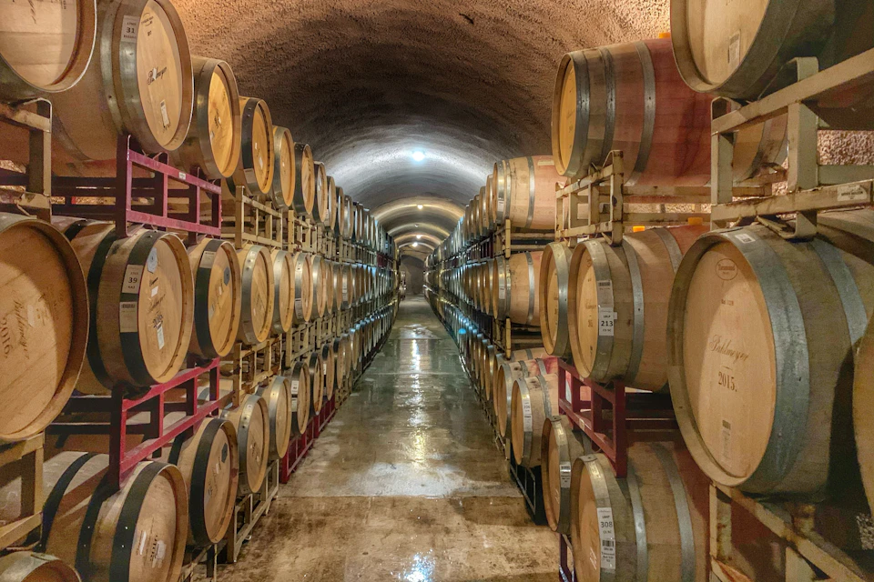Wine cellar tour