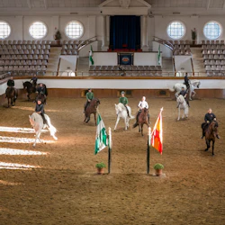 Royal Andalusian School of Equestrian Art: Full Visit + Optional VIP Upgrade 2