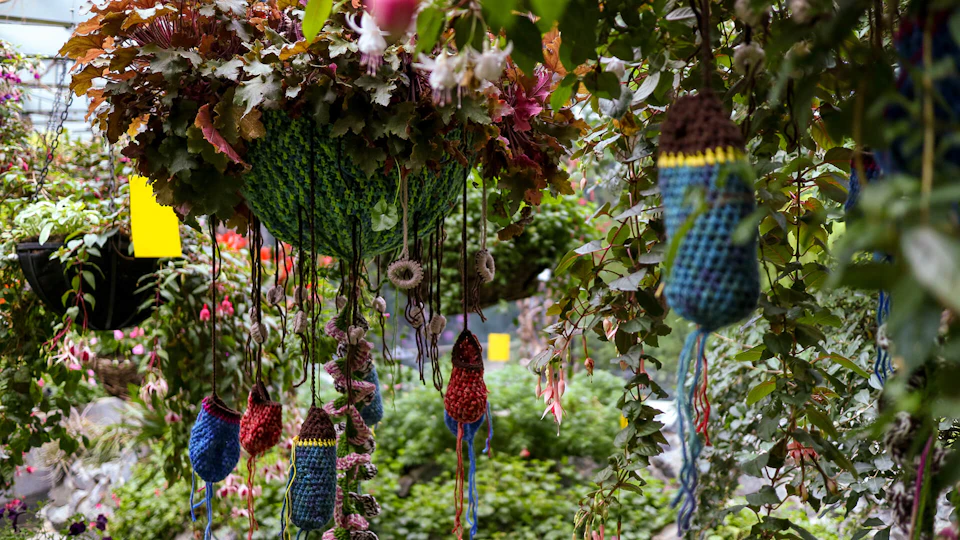 Hanging crocheted decorations and lush plants in a garden setting with vibrant greenery and flowers in the background.
