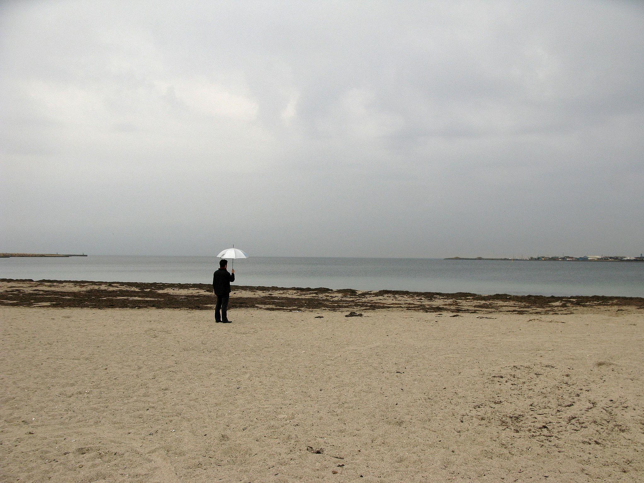 Svanemølle Beach in Copenhagen