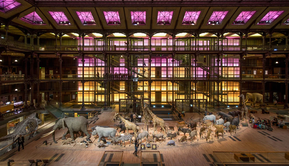 Grande Galerie de l'Évolution: Skip The Line Ticket — Tickets  in Paris