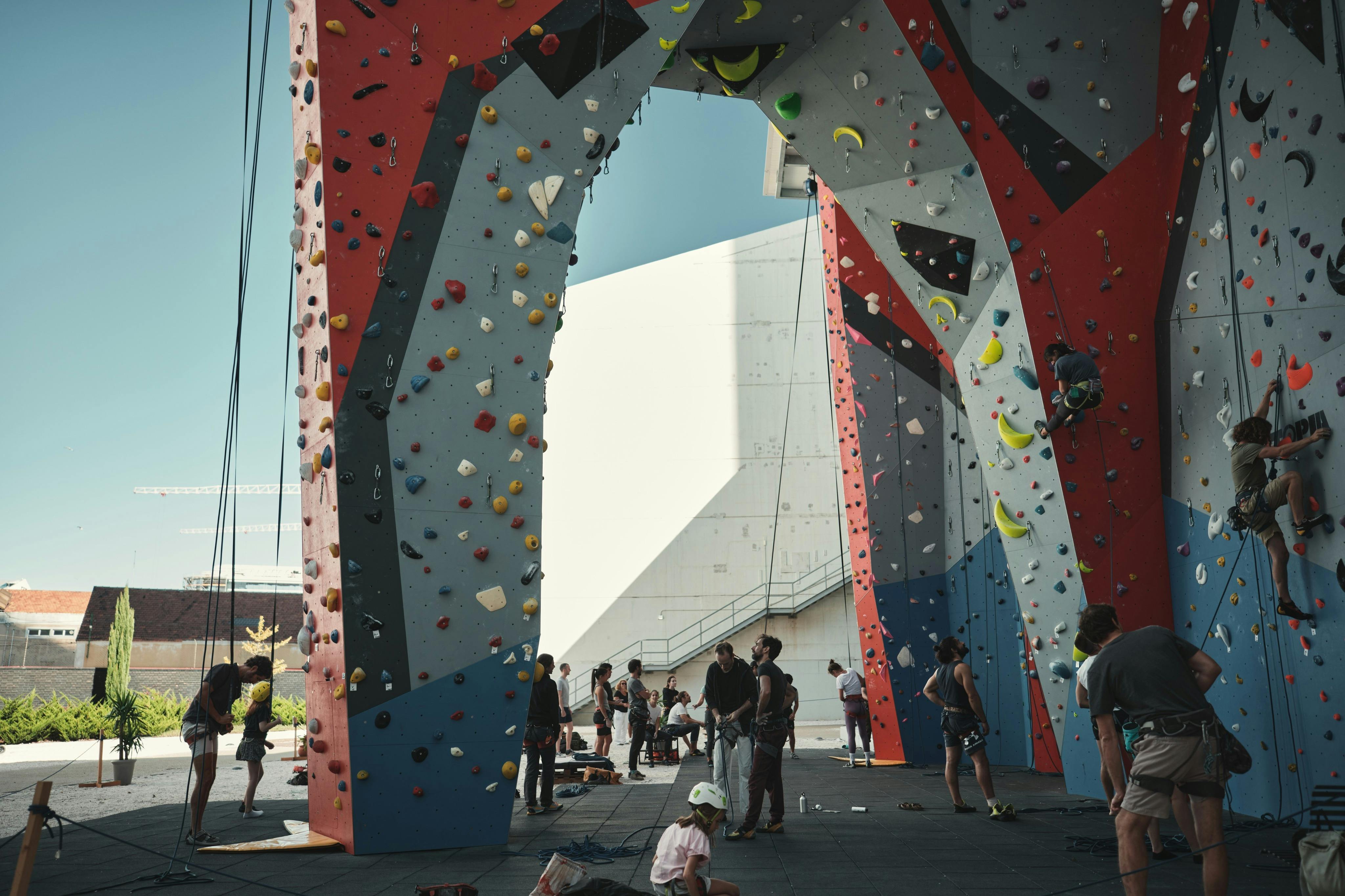 绿树成荫的安全体验