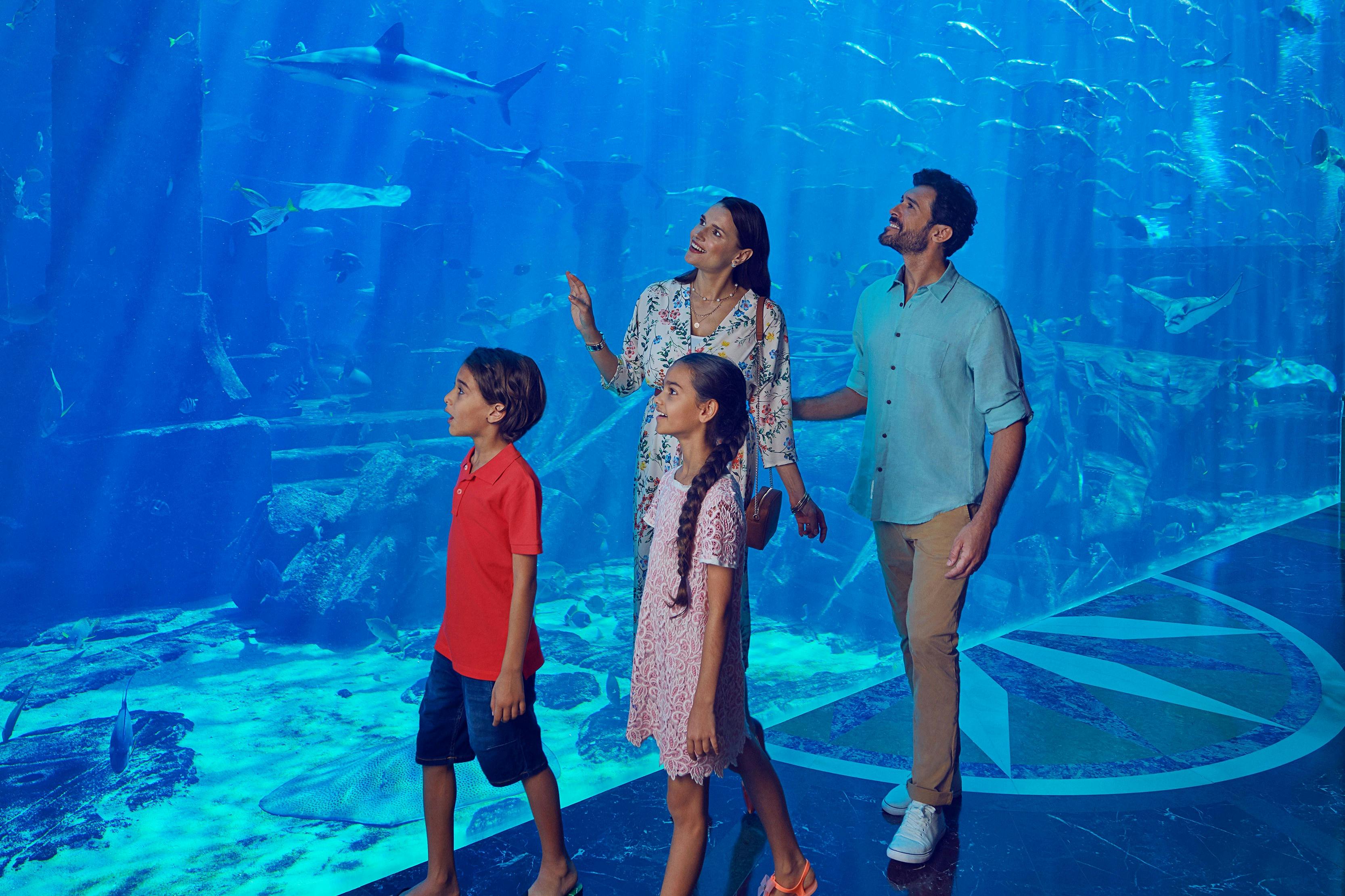 Atlantis The Palm-Ambassador Lagoon