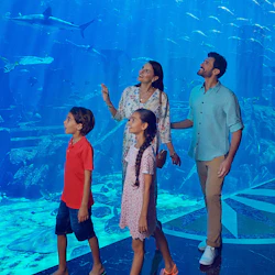 Lost World Aquarium: Diving & Snorkeling Experiences 2